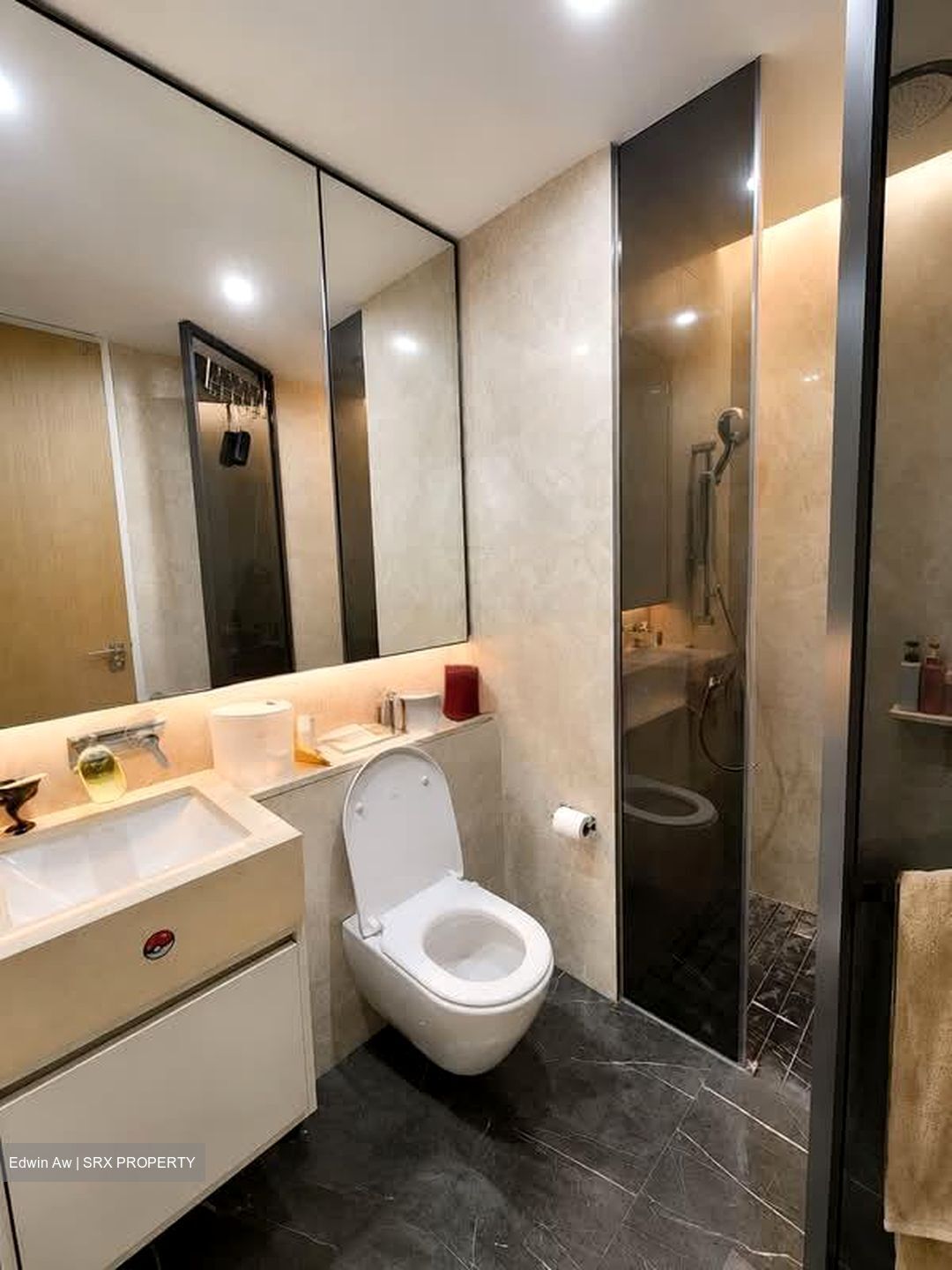 Amber Park (D15), Condominium #580801181